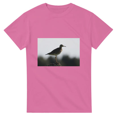 d562dc2f-74a5-486e-867f-3b6b8a4c1bdd