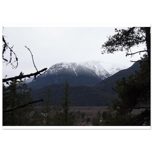 d5be2489-6b6a-4821-b7a2-2993158c50ec