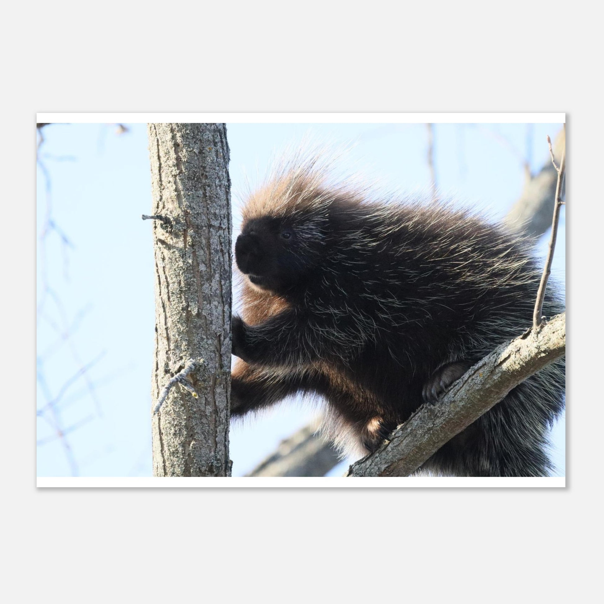 d5dde6e9-452e-4cf9-aeed-05f7dc193329