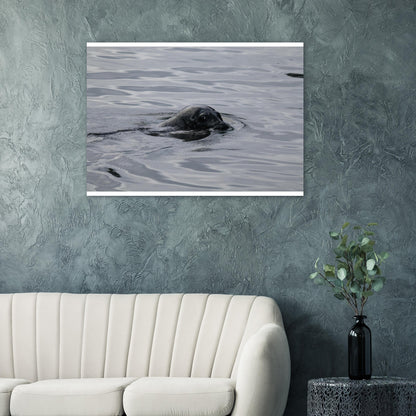 d61fd230-49a1-4e37-938c-77a7e300042f