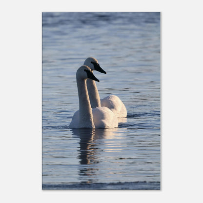 d6917d03-dc69-46fd-a099-577890108045