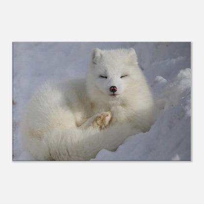 d6a25102-2a39-4e66-968e-d8a5f91ee260