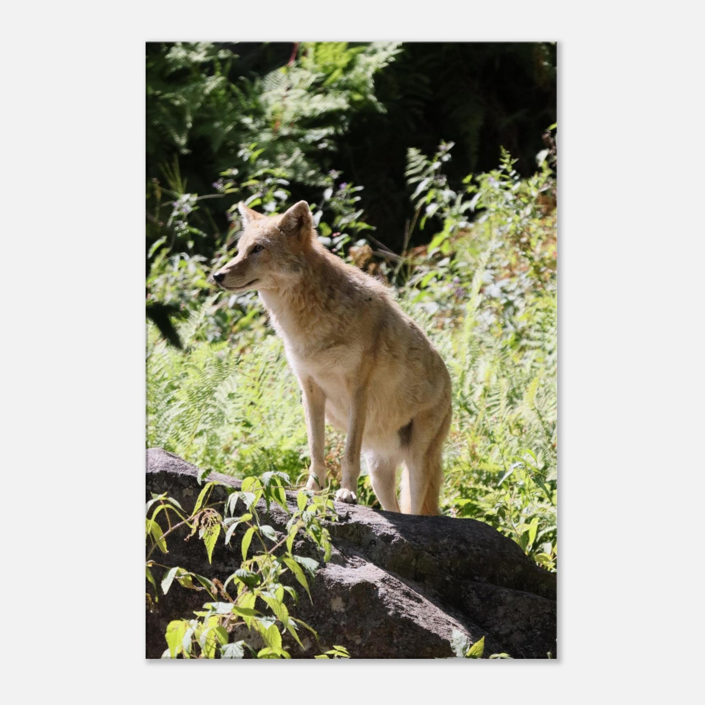 d6bc841f-5830-4cf3-aebf-7bd42070c74c