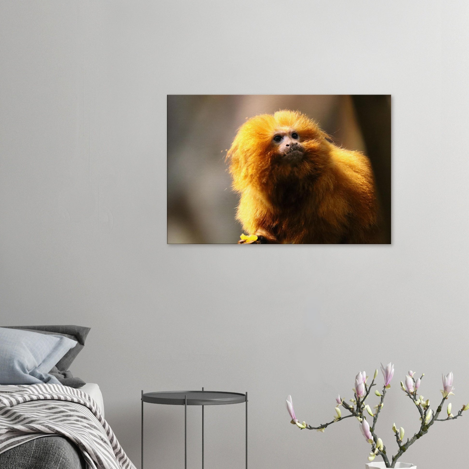 d6d39372-972c-4569-bf8f-ef5bb5a8e7e9