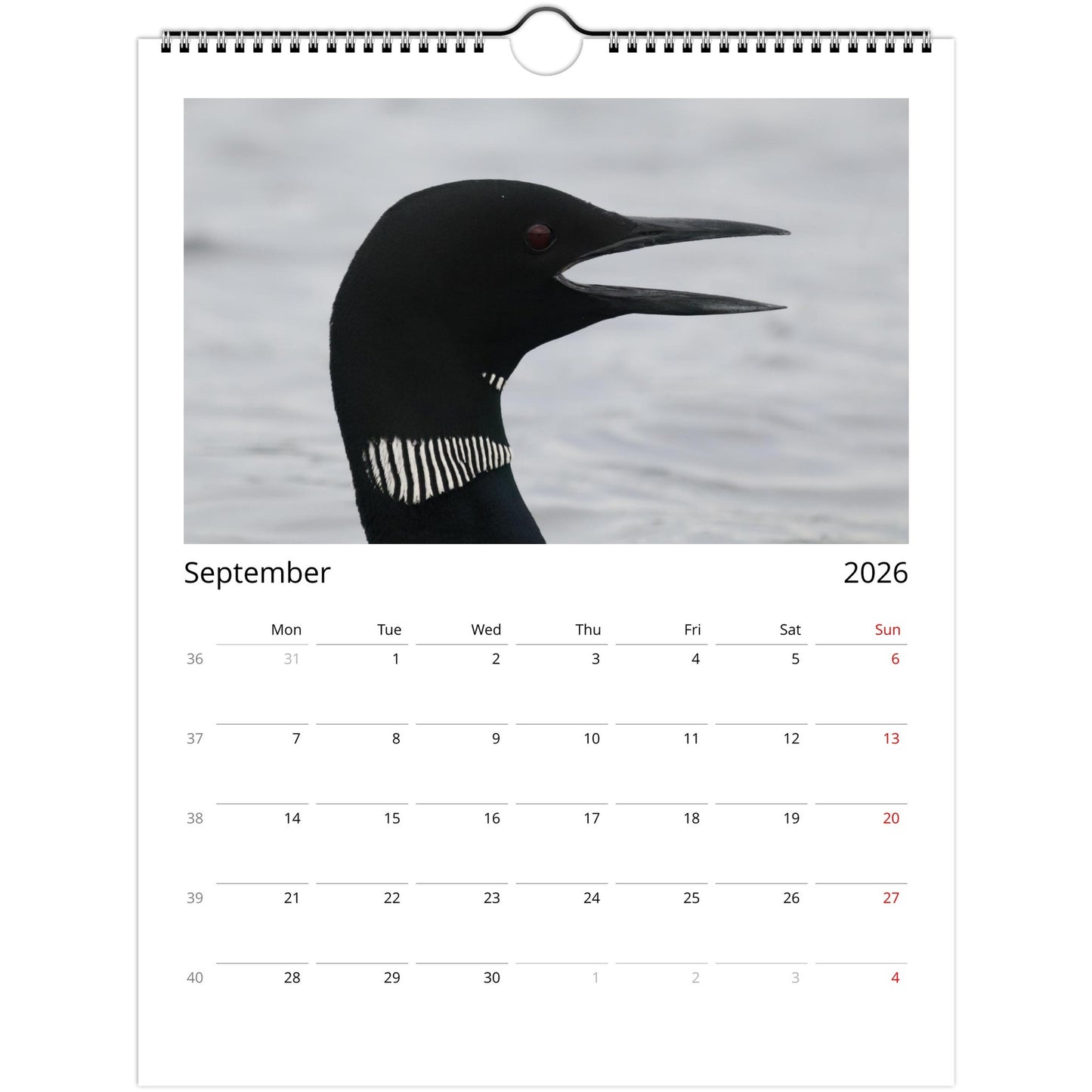 d6e13f4b-09a5-4528-a196-3b518aaf8a2f