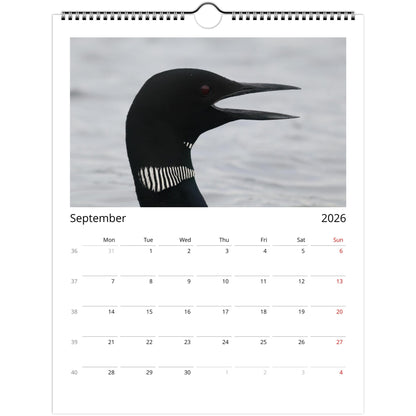 d6e13f4b-09a5-4528-a196-3b518aaf8a2f