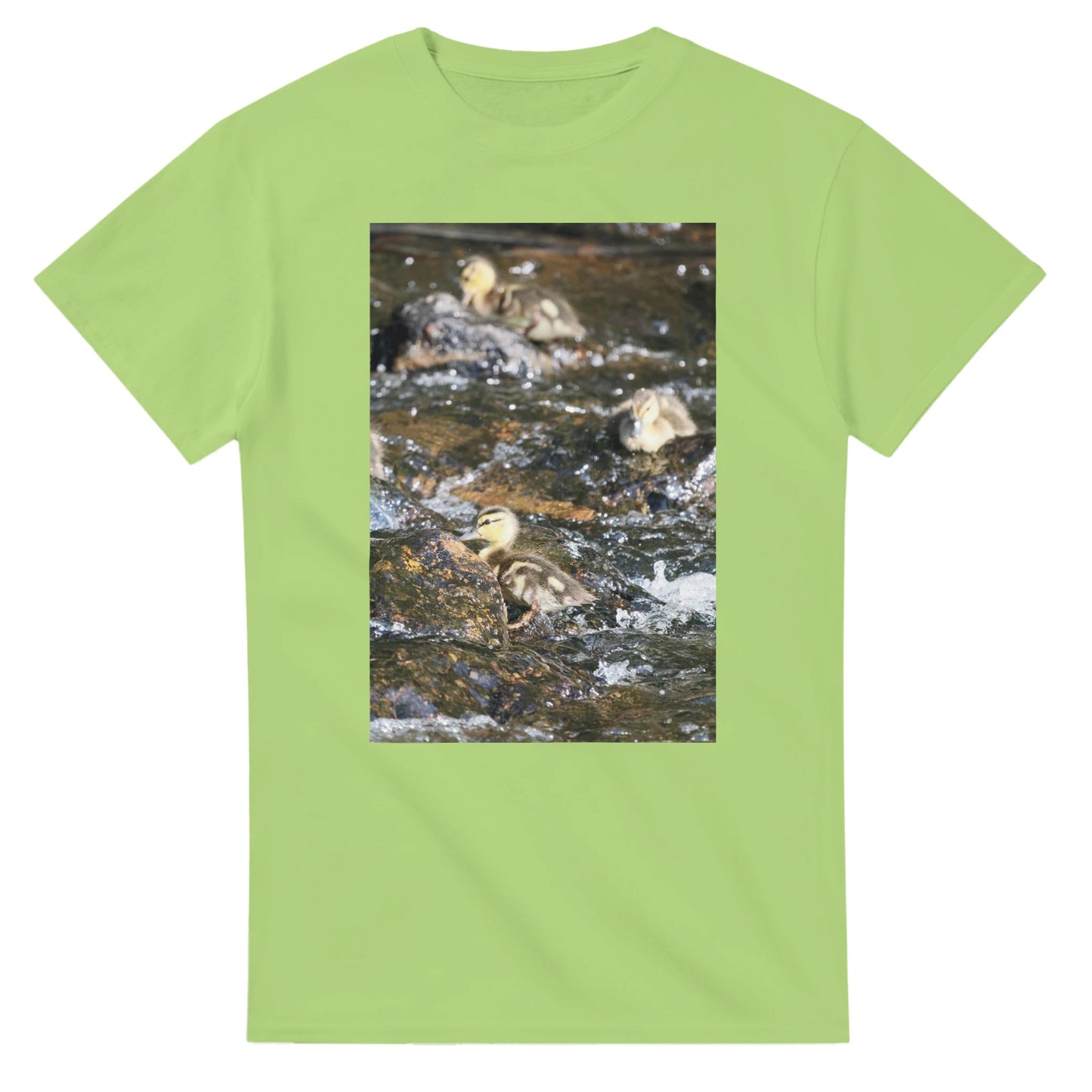 d7690e1b-b032-47ed-a1b2-647996efddf8