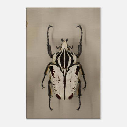d7de49b8-4a2f-415f-ab93-84932e8ea412