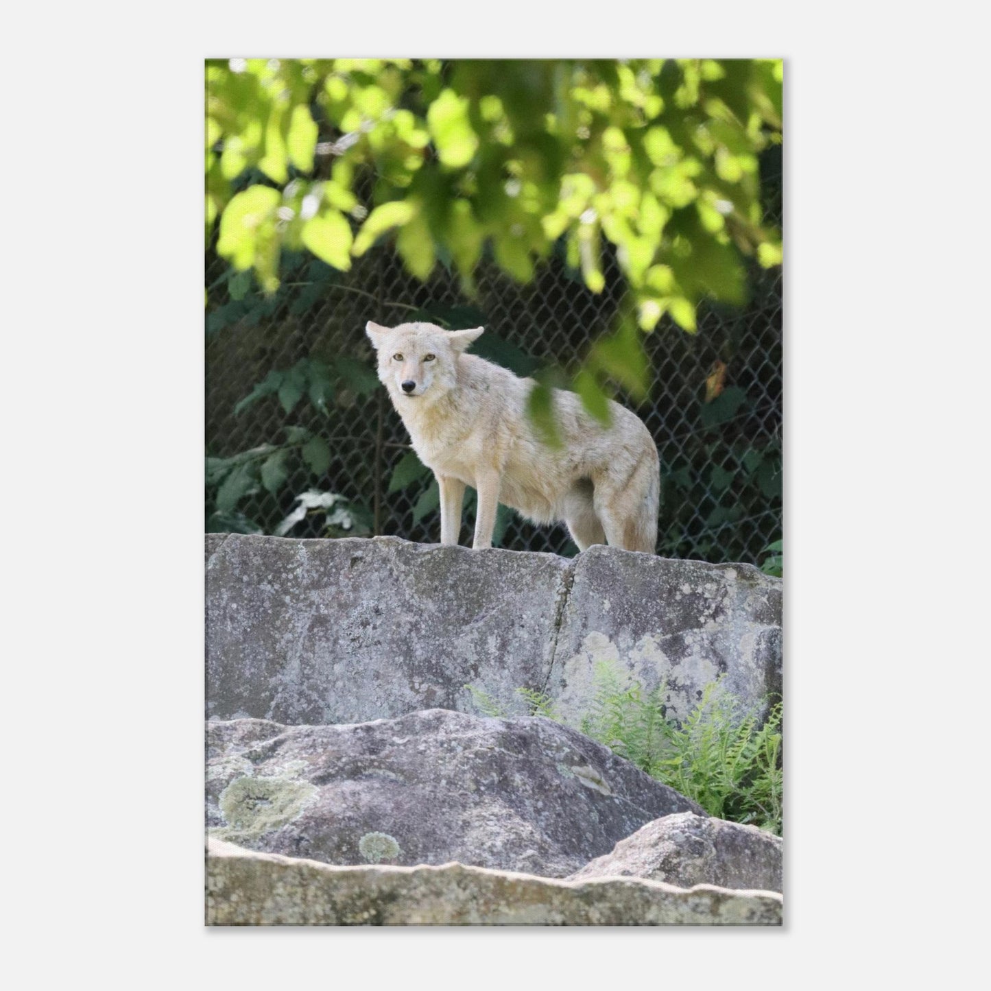 d7f213af-9cae-49f4-a5f8-747b9ce6d3d4