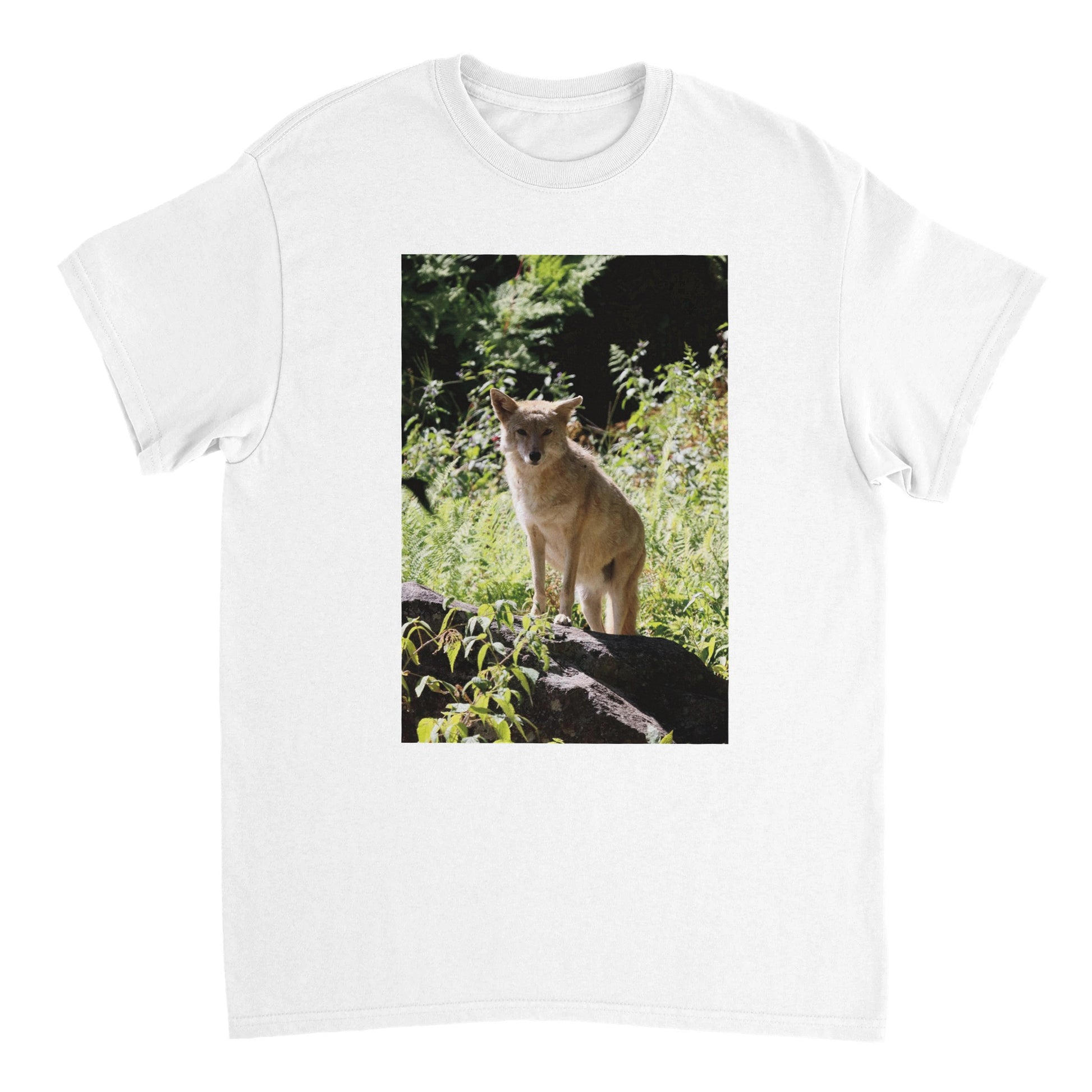 d88b6186-a0e9-4c00-96c2-a838bf667b3b