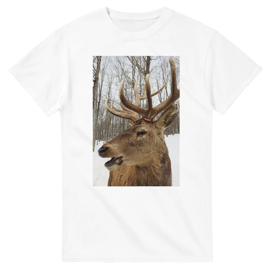 d92a8b54-286a-4f65-b8cb-56d7e6f0532a