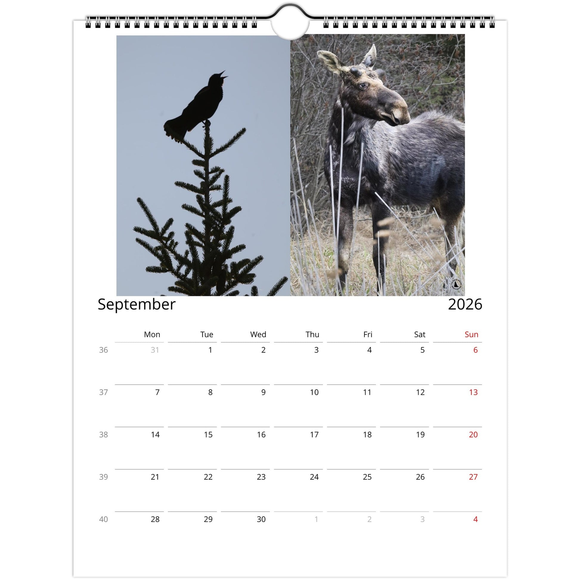 d9519379-8b48-409d-bc69-65cc78763c95