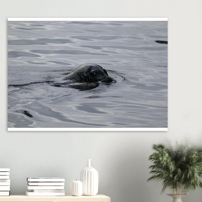 d9655439-ca0f-433f-92a8-7a9d65753be9