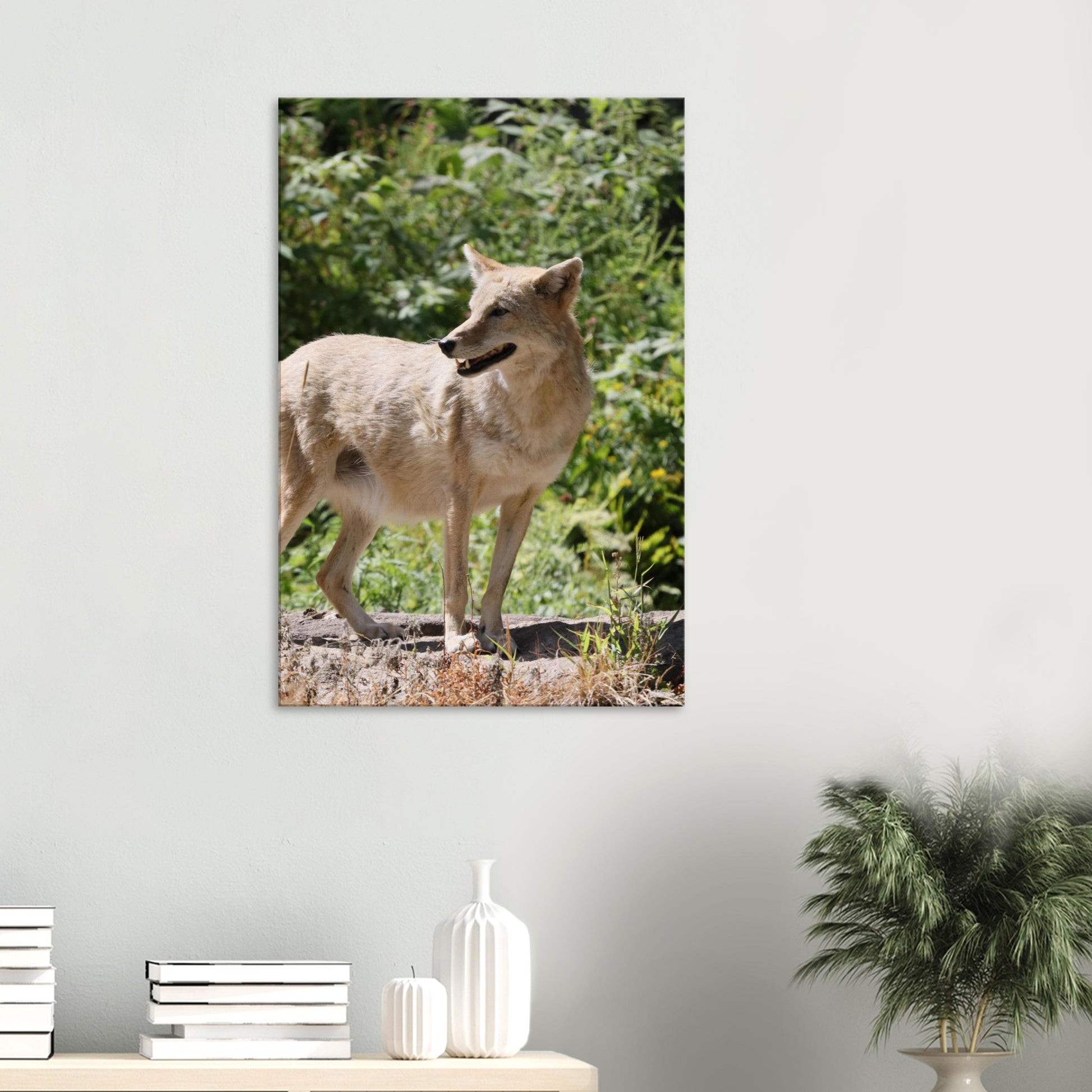 d96fcdb0-1dad-47f1-9292-44d71d18c9ed