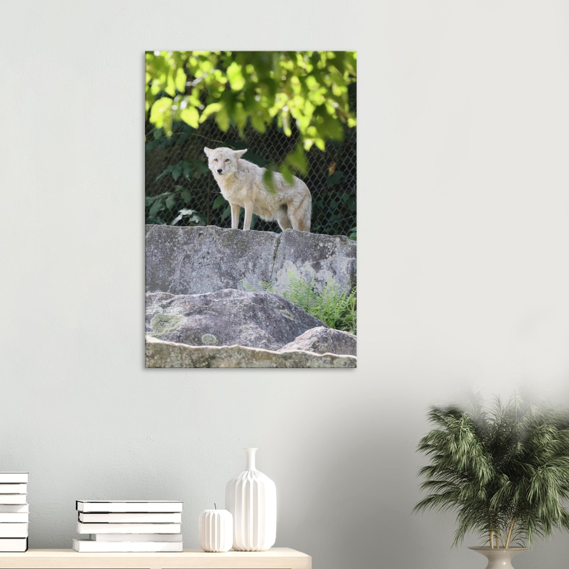 d976797a-8c01-417c-96b7-64fc014b298f