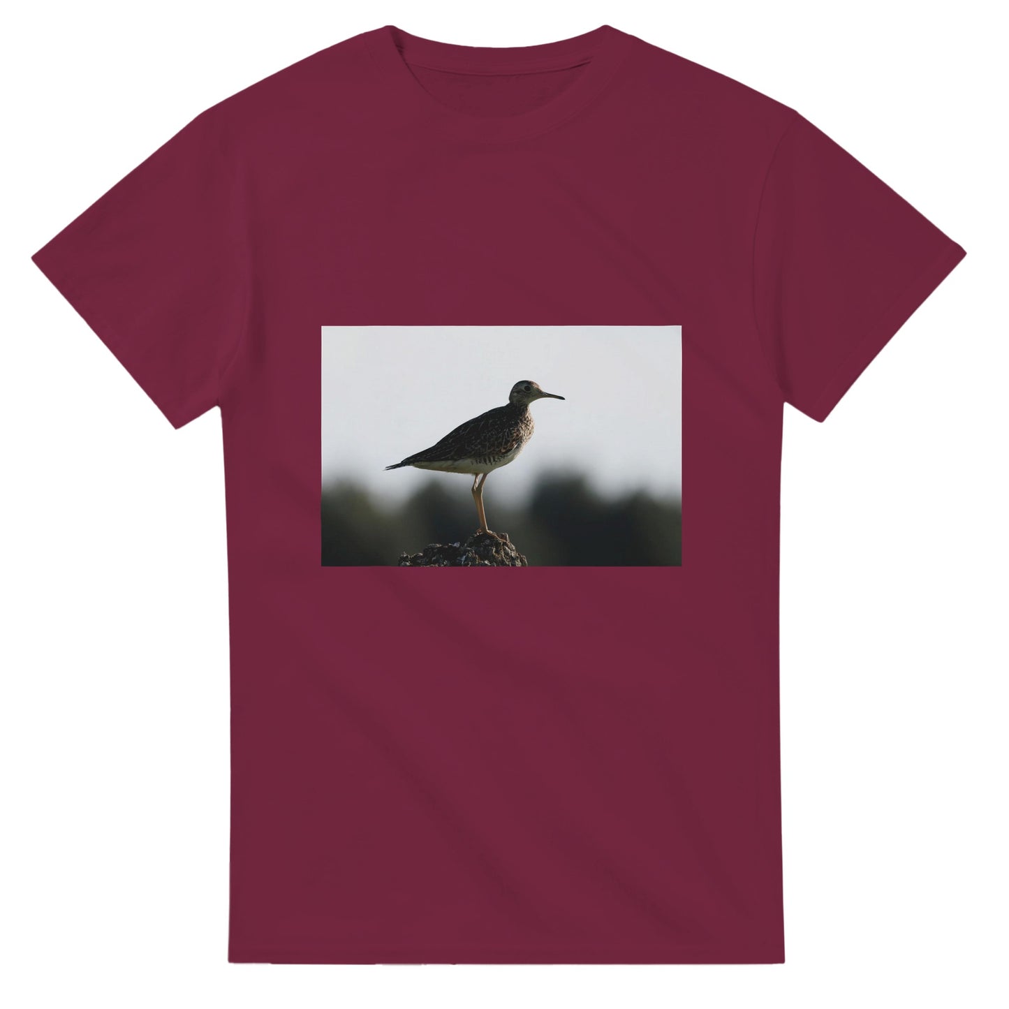 d9c6c6dd-2aea-4b56-8dc9-eb18ac085bd7