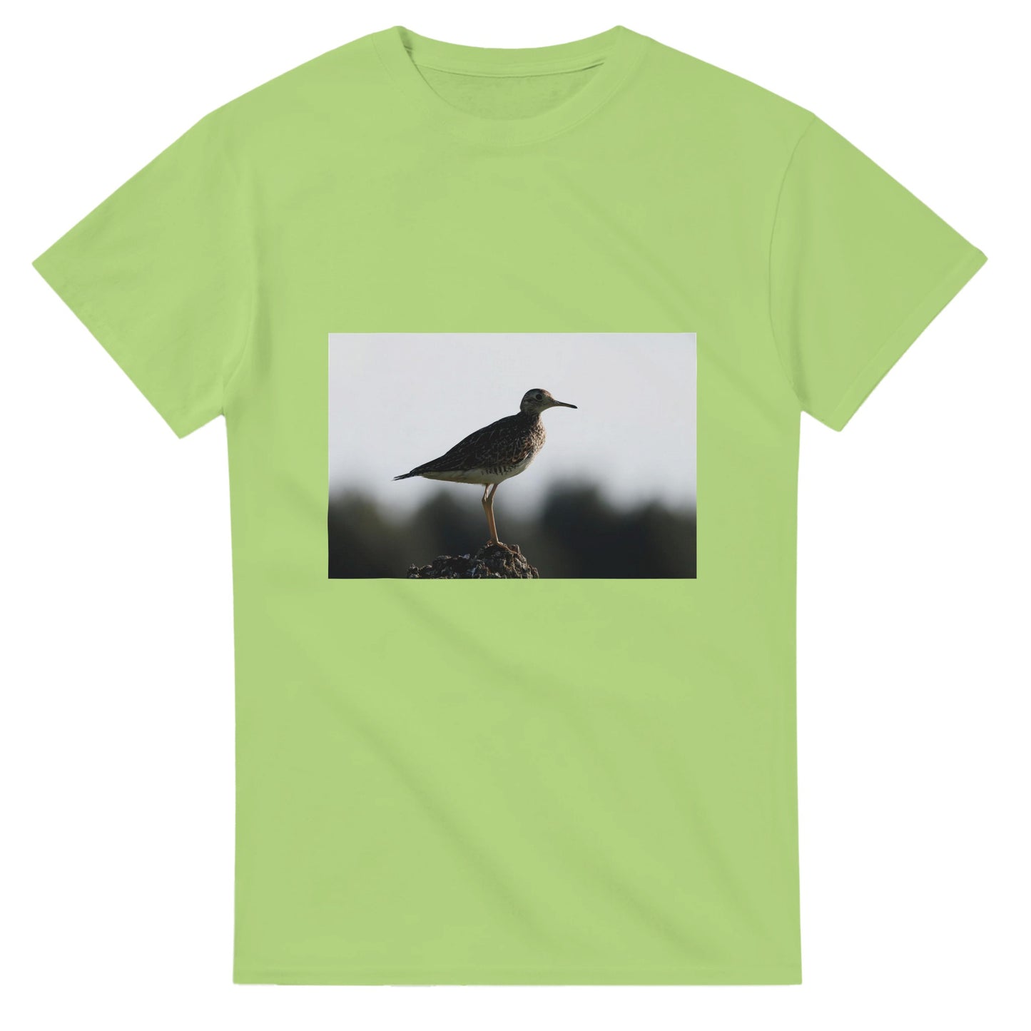 d9ca1e2f-b7cc-453f-9696-50ec89daa38d