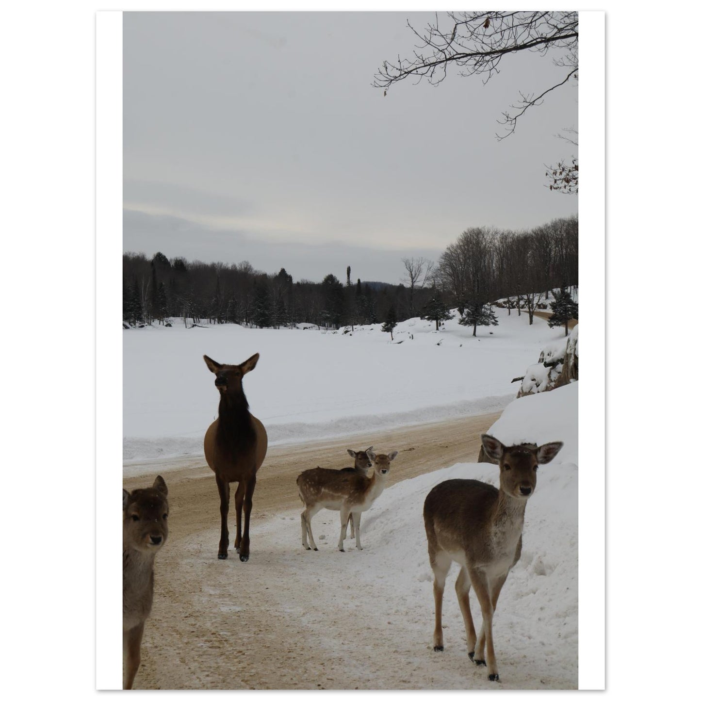 da039294-b6a0-4d7f-837a-0d2c8183c2e5