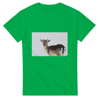 da5a4e09-ecf5-4f38-9736-3fc183054891