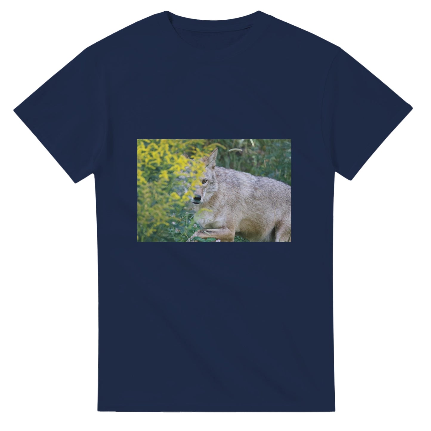 da94622a-3b44-454d-af3b-d2f8f7205fd8