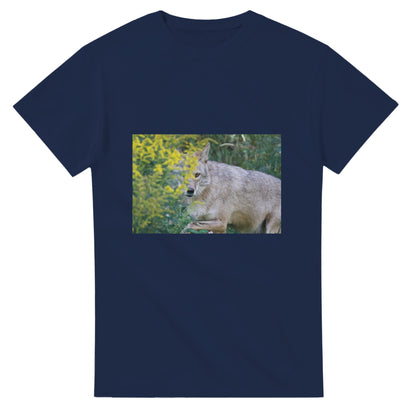 da94622a-3b44-454d-af3b-d2f8f7205fd8