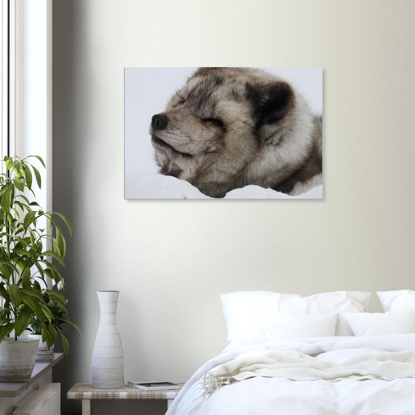 dab72746-a4d3-48eb-a6c4-6d7e7bcfd3d3