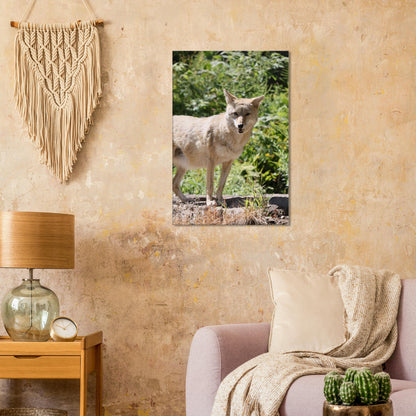 db1c3e45-b81c-4577-9d36-e1d4ee6b92f5