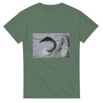 db2a874c-cce0-46fd-bf79-94c0b7668f53