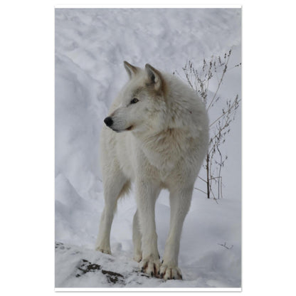 db30b966-bb98-40ed-9e29-db20320564bd