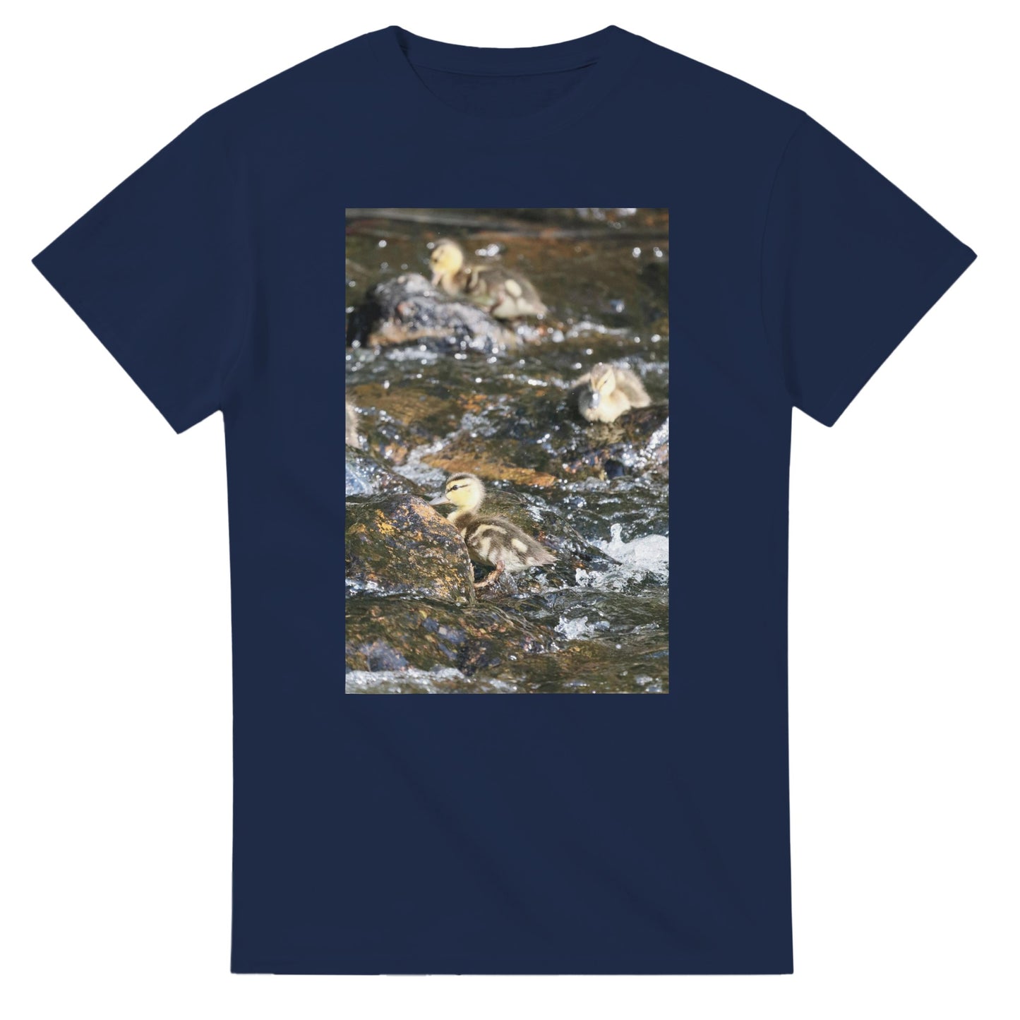 db988382-8c5c-4220-8f82-9169c54bd901