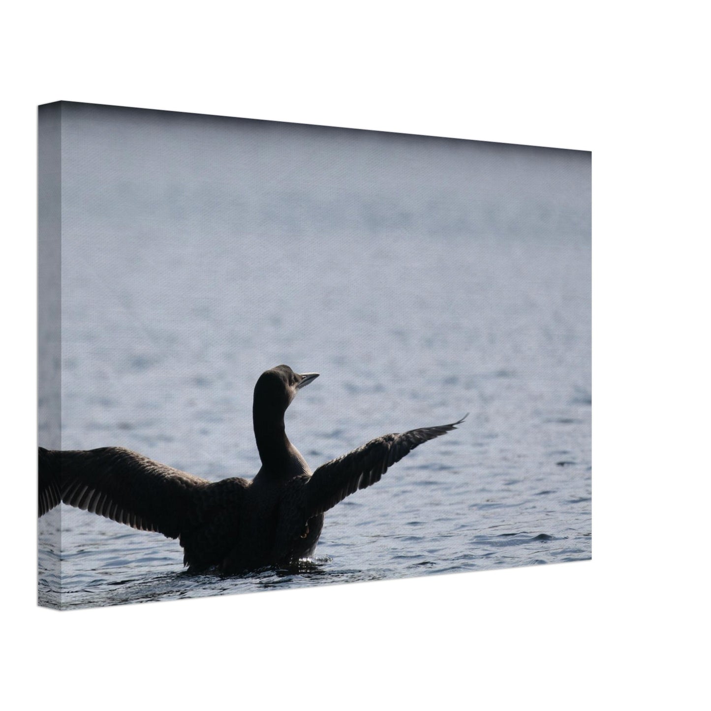 db9a28df-9e3f-4d47-b226-4aaa4cf30c8e