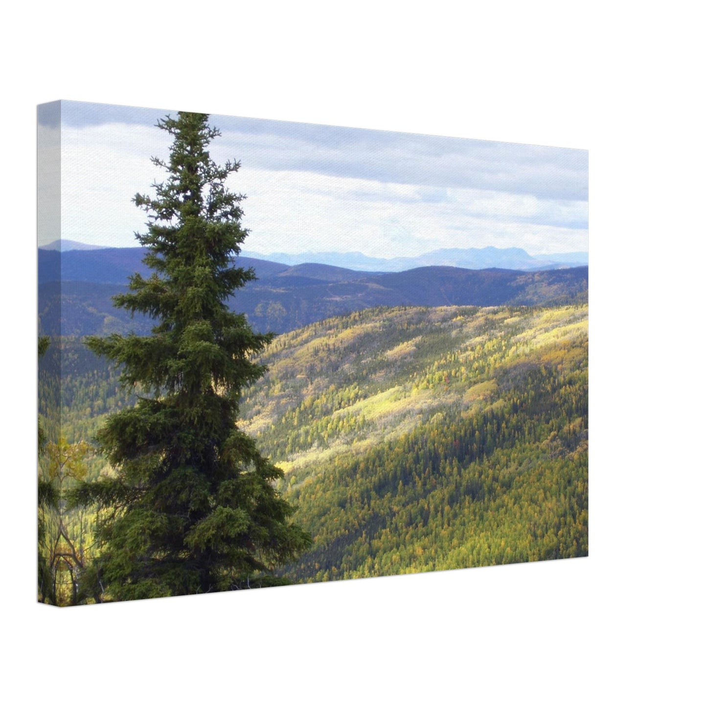 dc05924b-954a-4544-a405-52dcf7f148ef