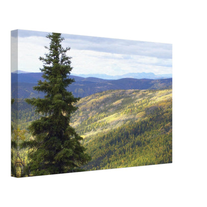 dc05924b-954a-4544-a405-52dcf7f148ef