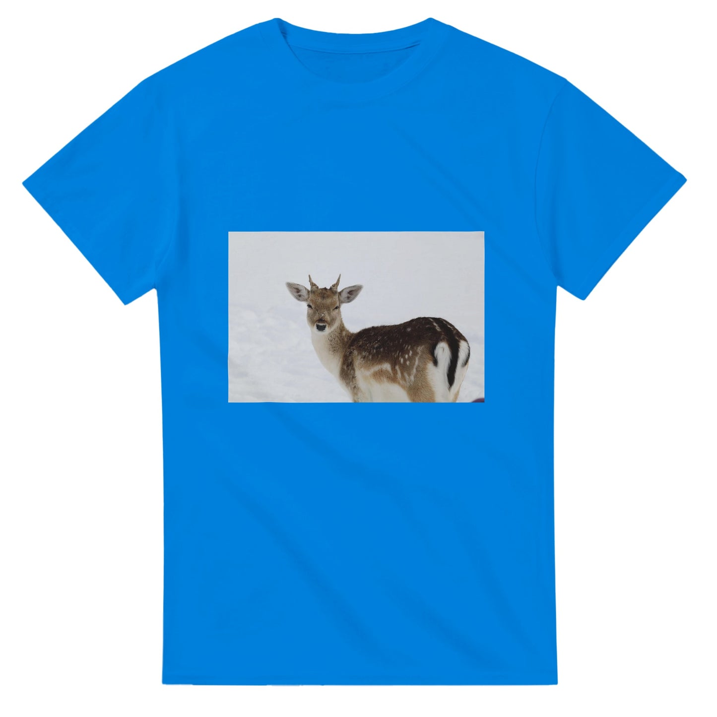 dcadbd80-e6dd-43dd-af3d-26d18dc4fcb8