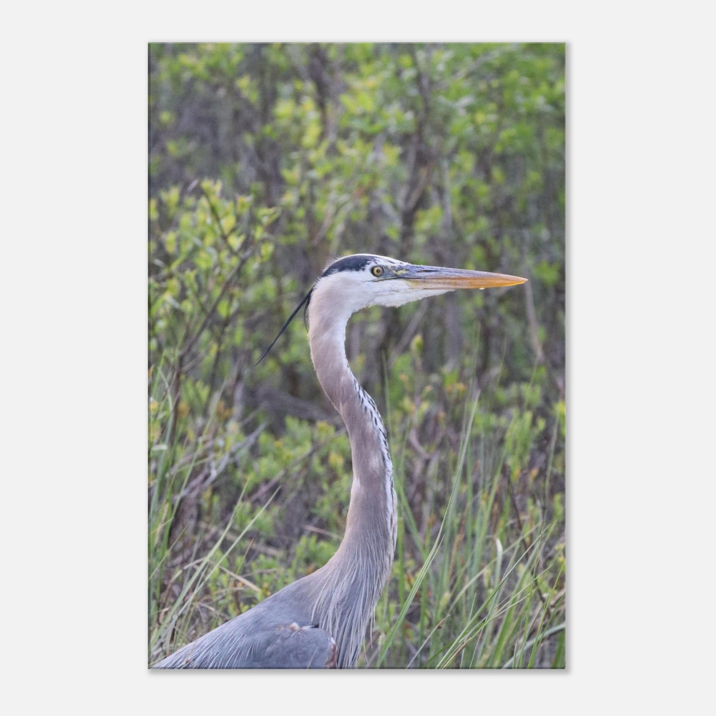 dd2202b5-1c73-48be-8b45-cf9b33d423f7