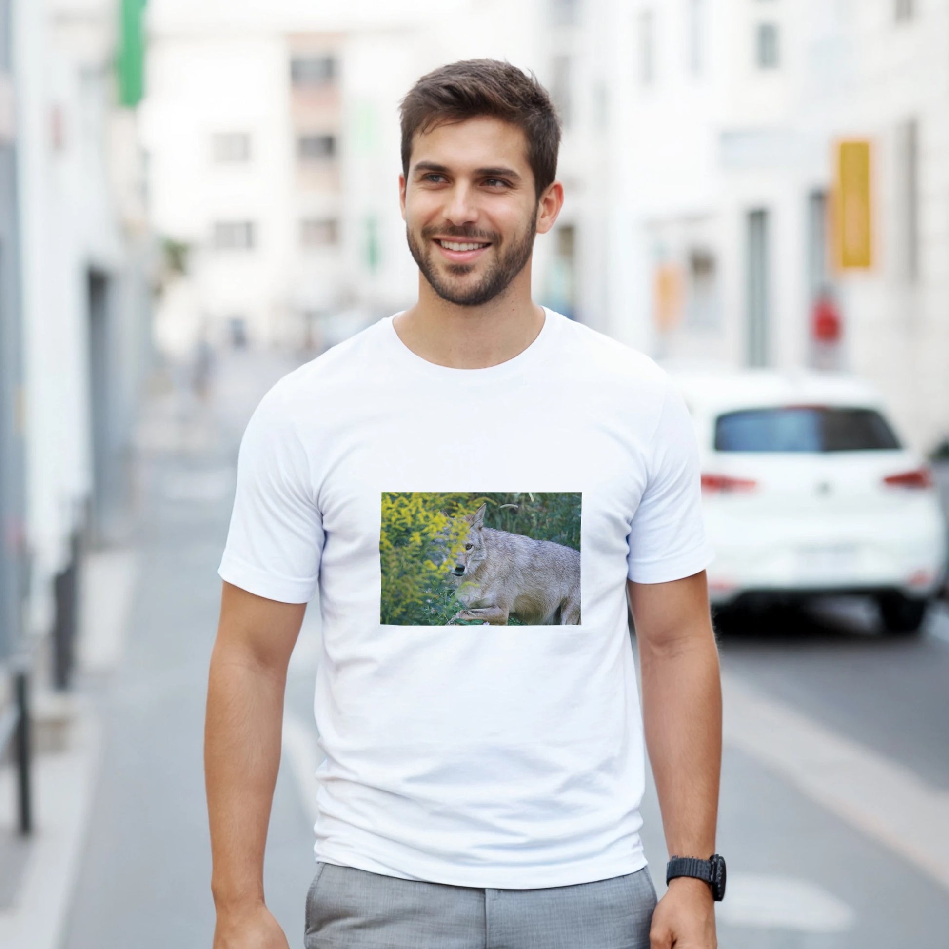 dd9a722b-588f-42f7-8ea8-42c5cfa1d24e