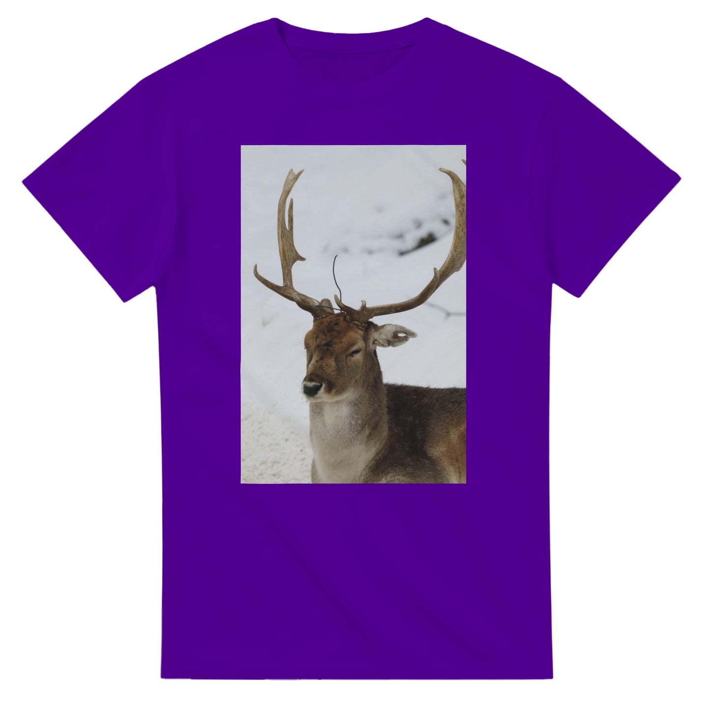 dfbaccd2-ea36-4353-bf4e-0e5c955486ff