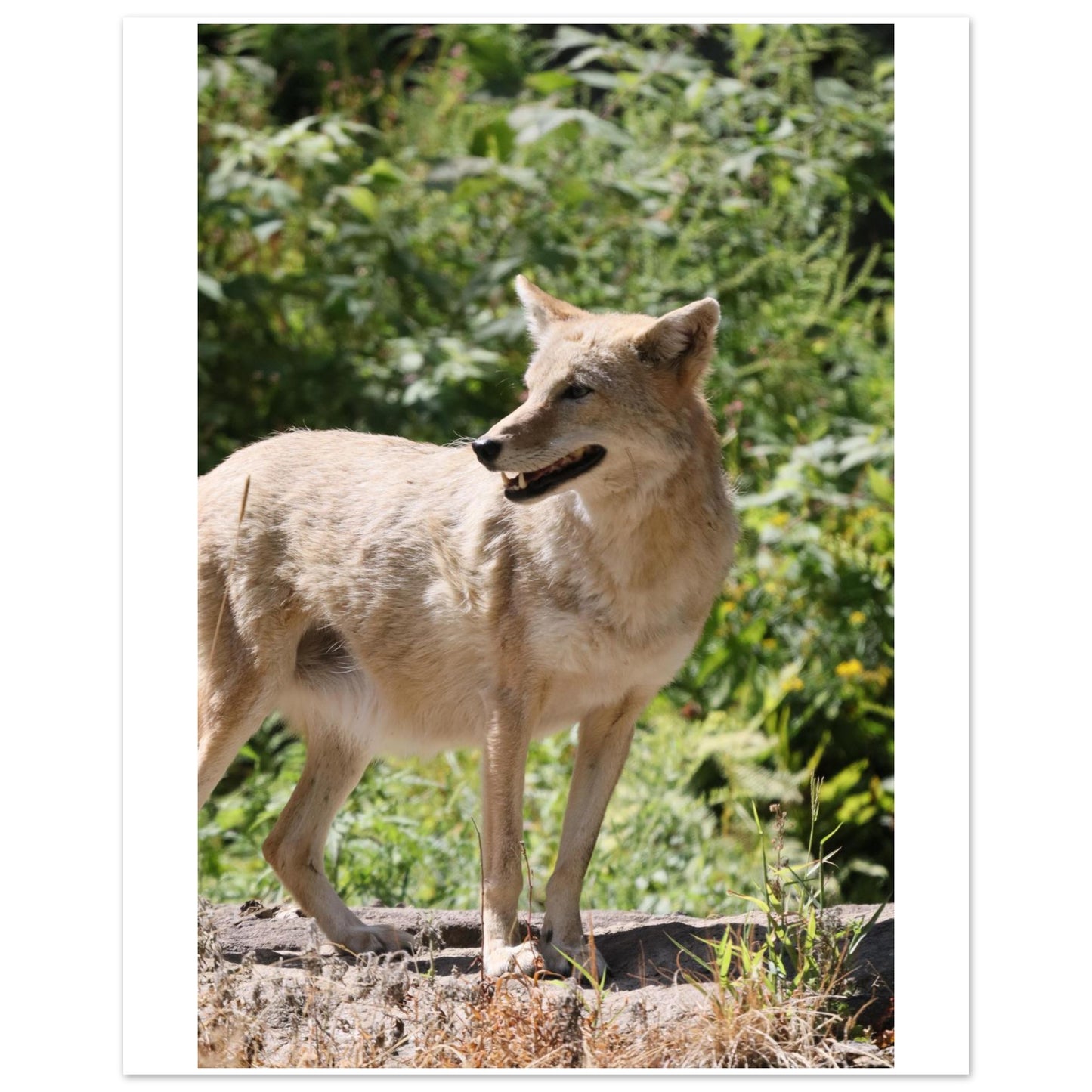 e0c25b10-2f82-4c2f-aece-0f991338e8de