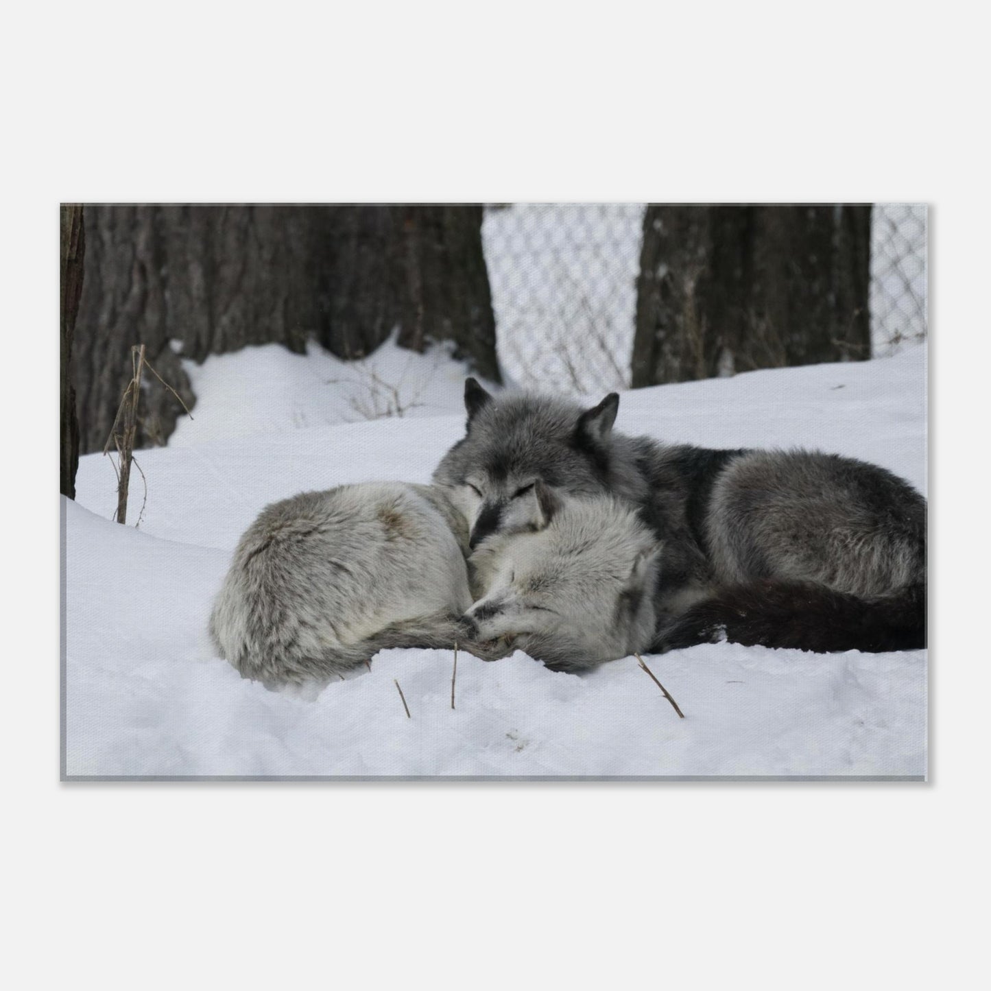 e0fa0336-58bc-47e5-8ad0-860a64cc65cb