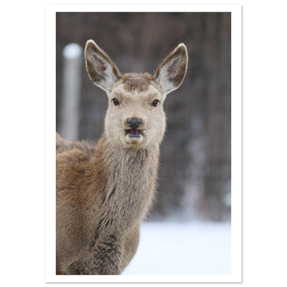 e2cdbae9-f43a-4655-941a-dee5890ee9d5