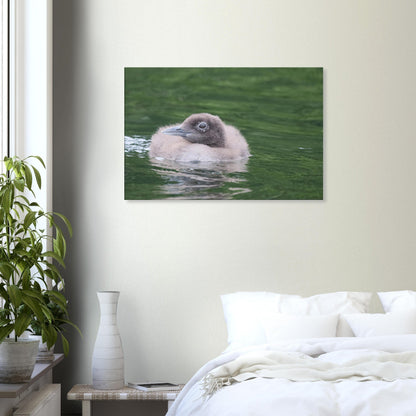 e3511034-225c-4f8c-b889-3bef16b1b867