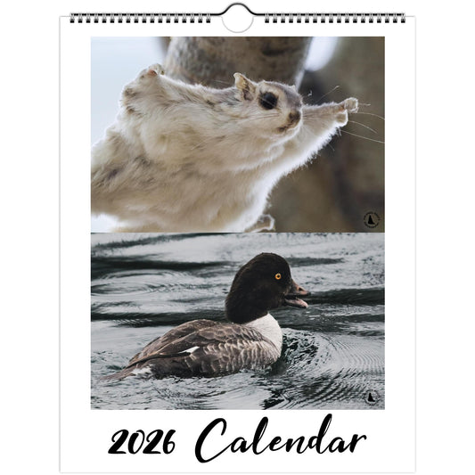 e3581c4f-bebd-46ae-96a9-f90591d41d93