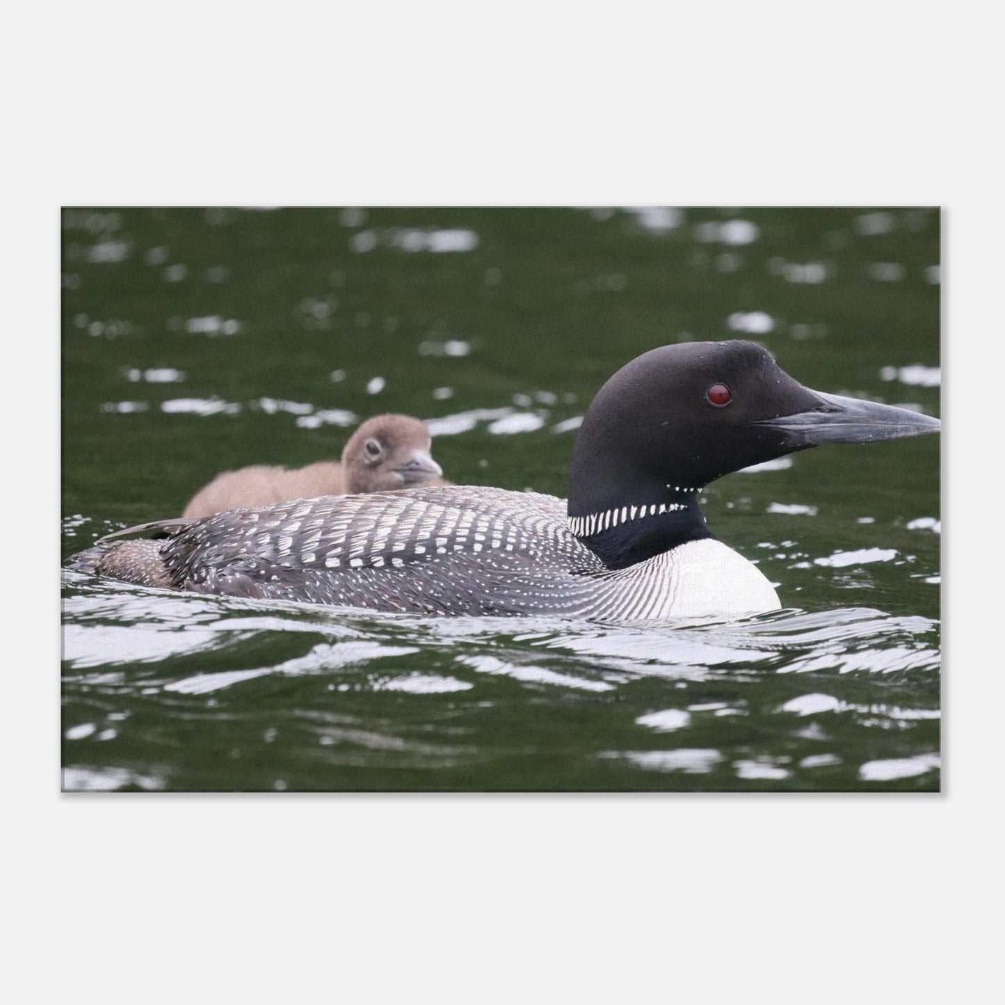 e37c5cd6-7828-40d3-a8b7-fea6aa8a2cf2