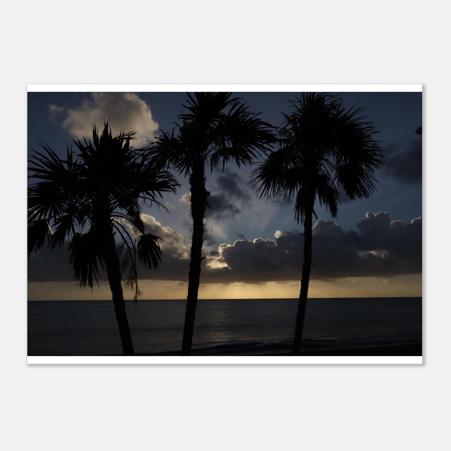 e3bb81ad-ba73-4297-a6b3-c41113a4fa49