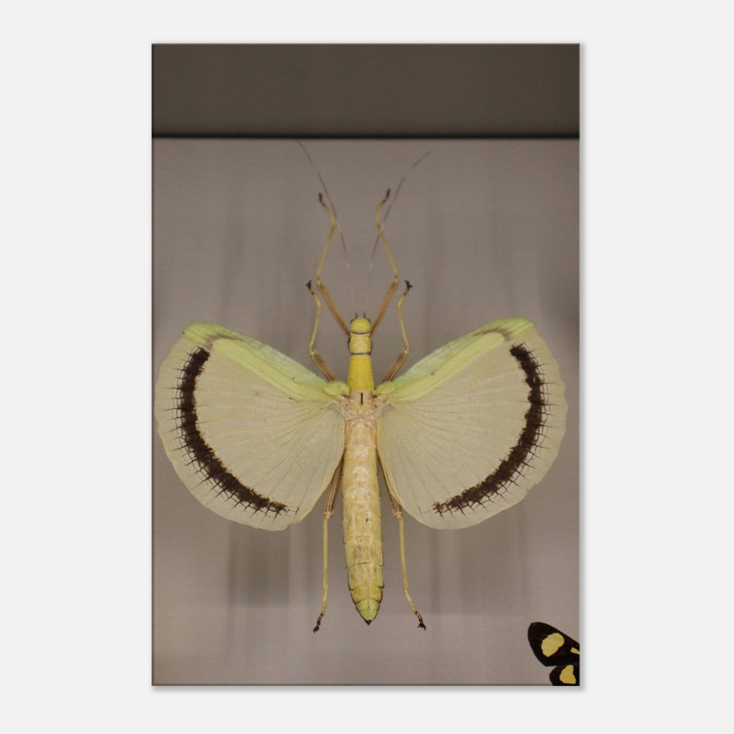 e4186ee0-7a3d-47ba-8721-2ca55041aa05