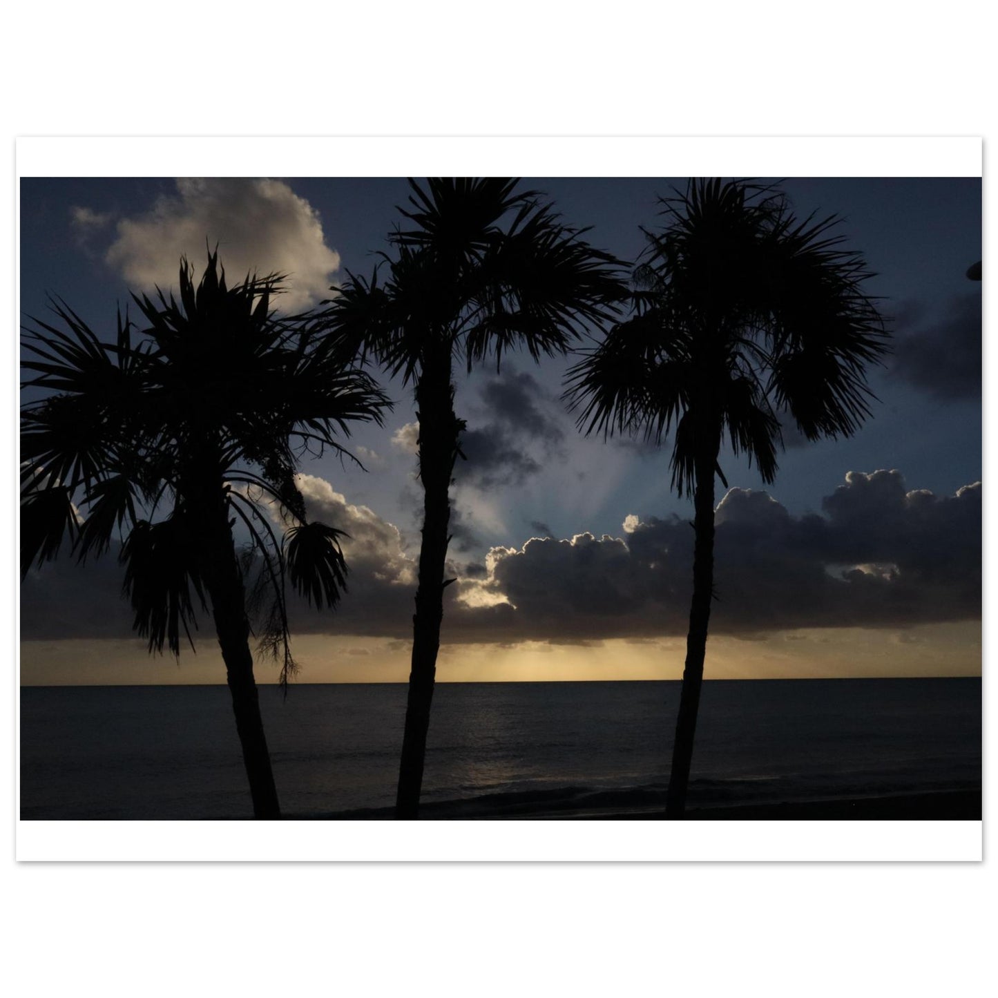 e4393792-d32d-4439-9d6a-386940660b3c