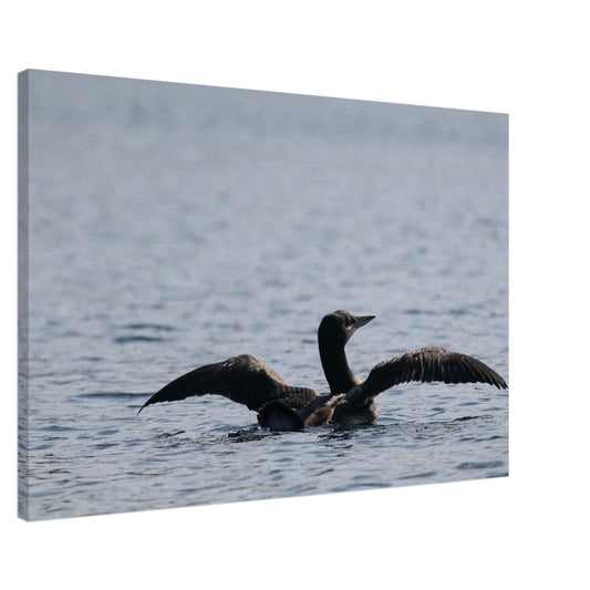 e469b6a9-83c6-4862-b6b9-ba9fe93e33ae