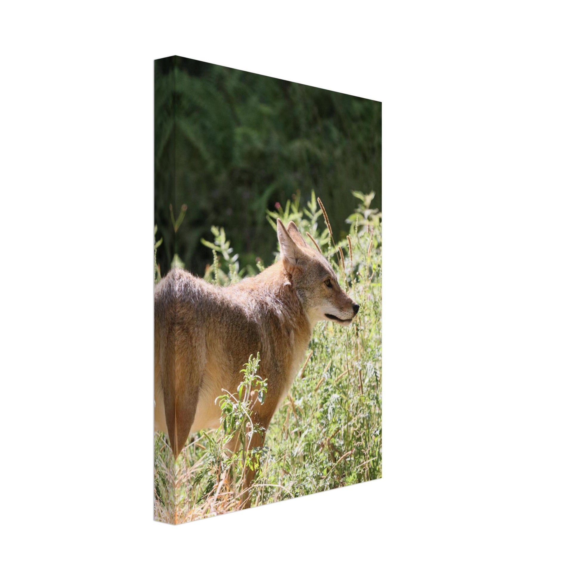 e4c56f1d-1465-49f5-8a4a-37799c1369b8