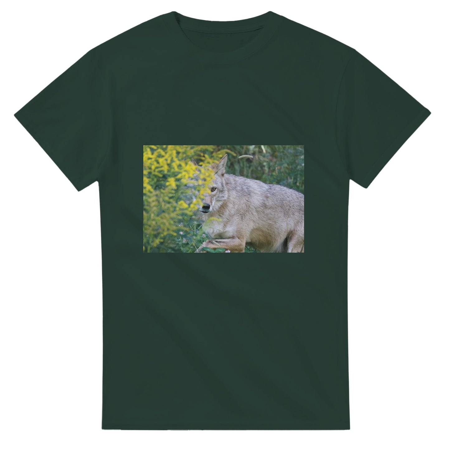 e4f484c2-3579-4874-b07c-bba0d99d909d