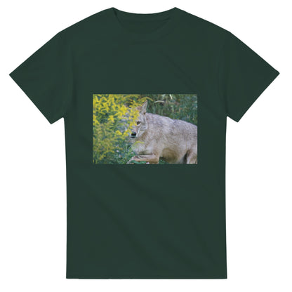 e4f484c2-3579-4874-b07c-bba0d99d909d